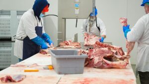 Trabalhadores desossando carne na linha de produção de um frigorífico, com facas e serra-fita, movimento repetitivo que causa LER e DORT (foto real, Pexels)