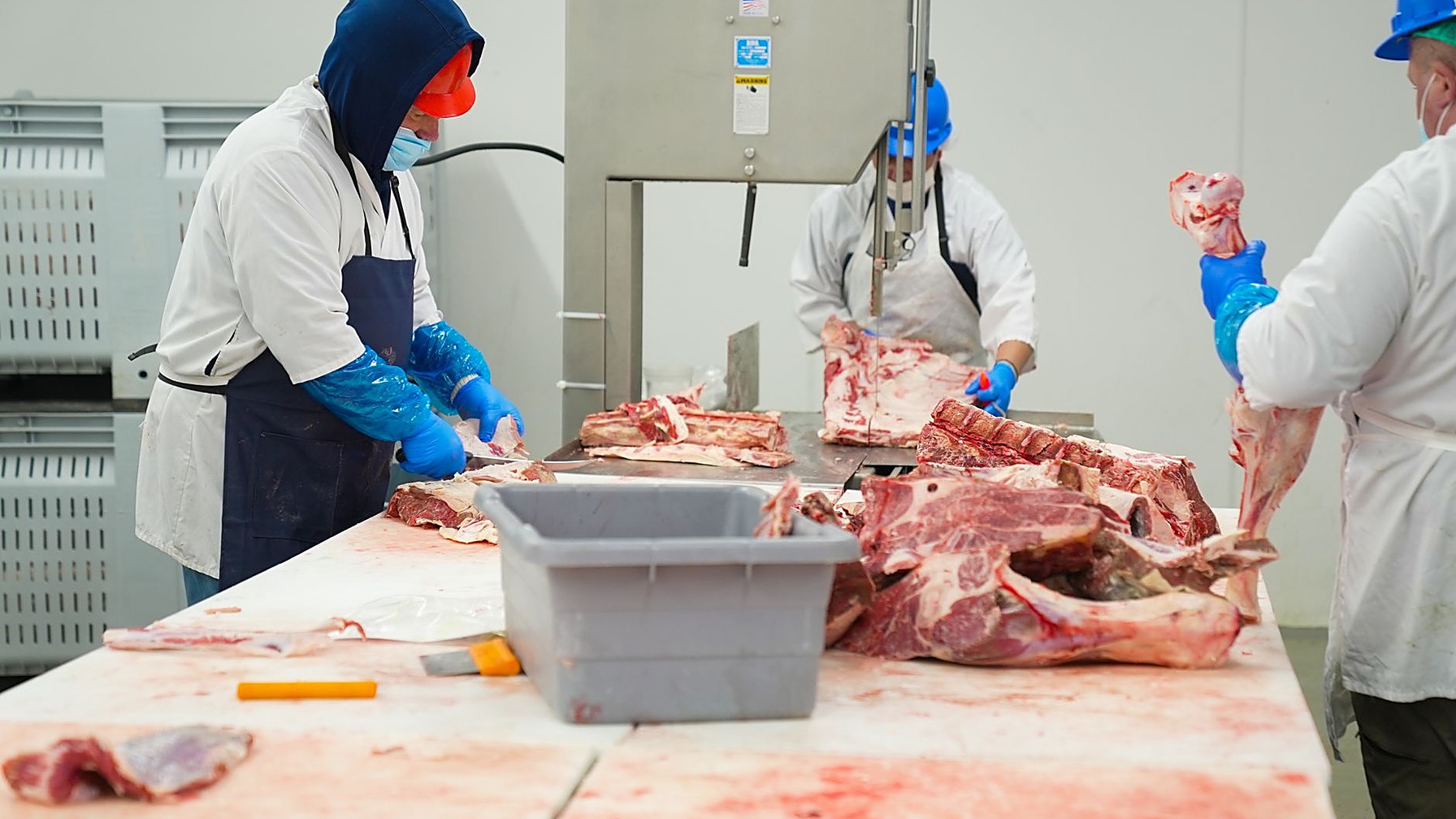 Facas de desossa de frigorífico dispostas em uma parede de aço inox, em ambiente industrial refrigerado, símbolo do trabalho repetitivo que causa LER/DORT