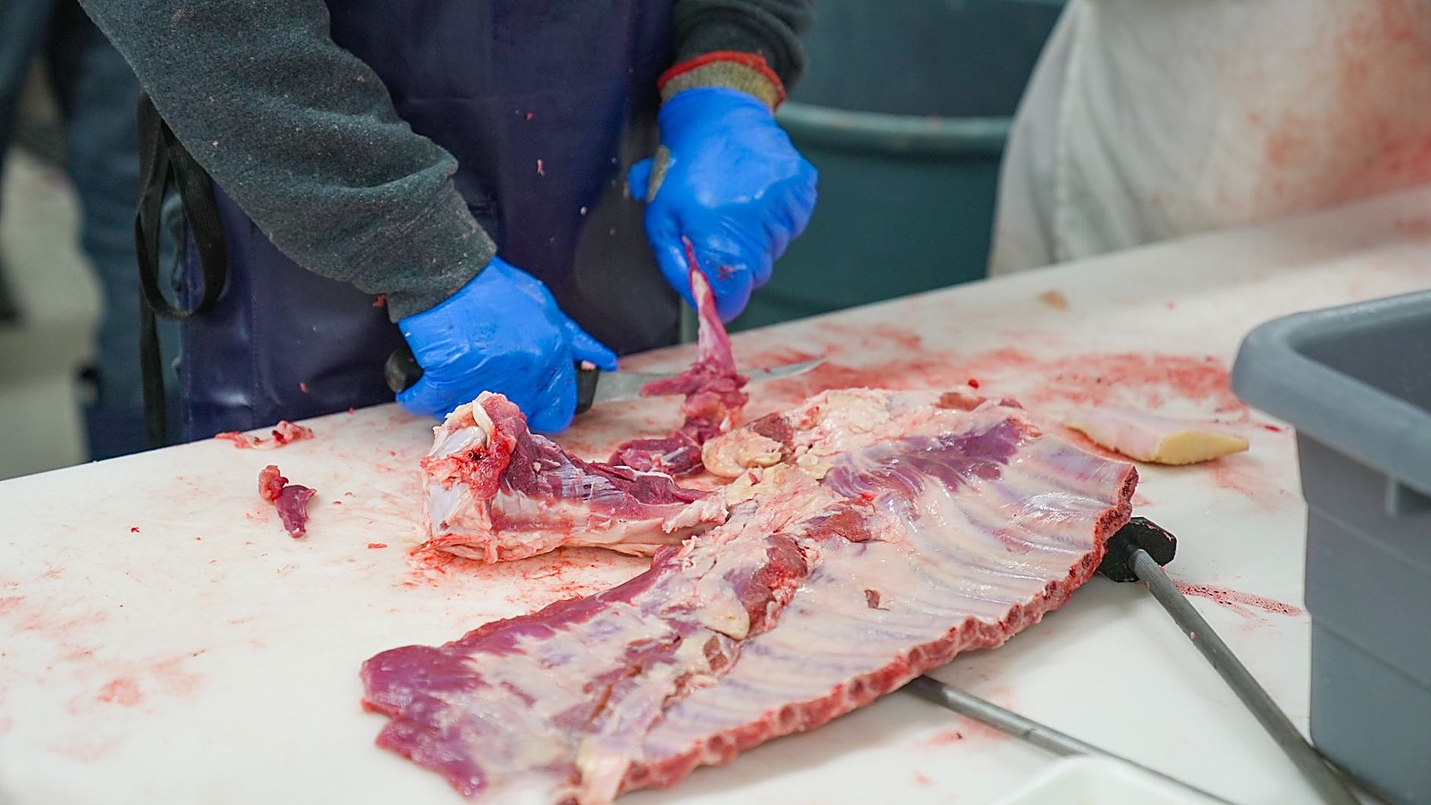 Moedor industrial de carne com engrenagens e rosca sem-fim expostas, símbolo do mecanismo de agarramento que amputa membros na linha do frigorífico