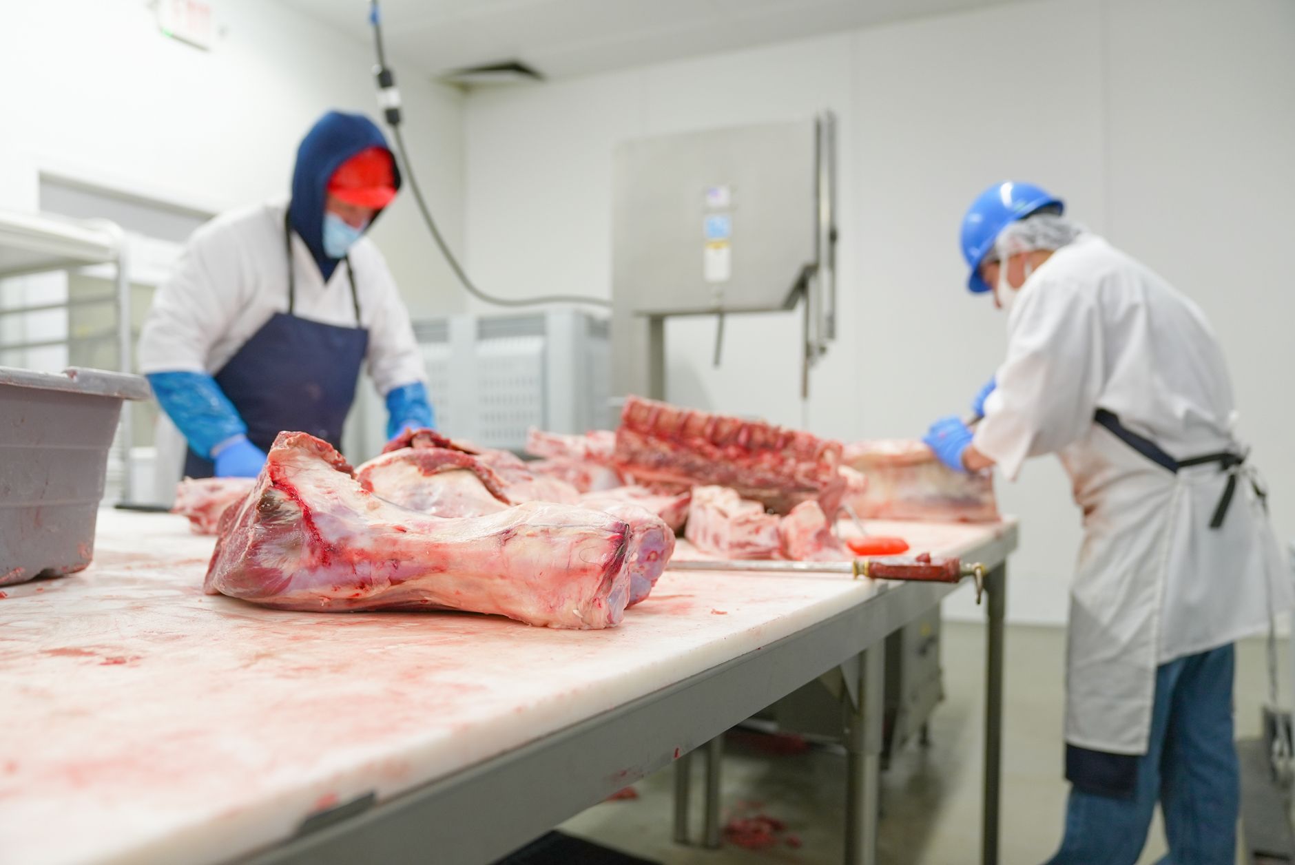 Faca de desossa e luva de malha de aço sobre a mesa de aço inox de um frigorífico, ao lado de um formulário de comunicação de acidente de trabalho, símbolo da amputação na linha de corte e do direito ao auxílio-acidente