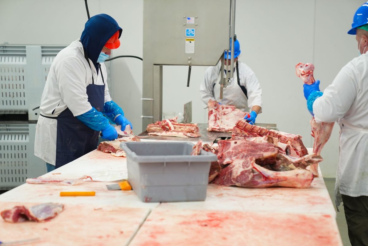 Linha de producao e ritmo de trabalho em frigorifico