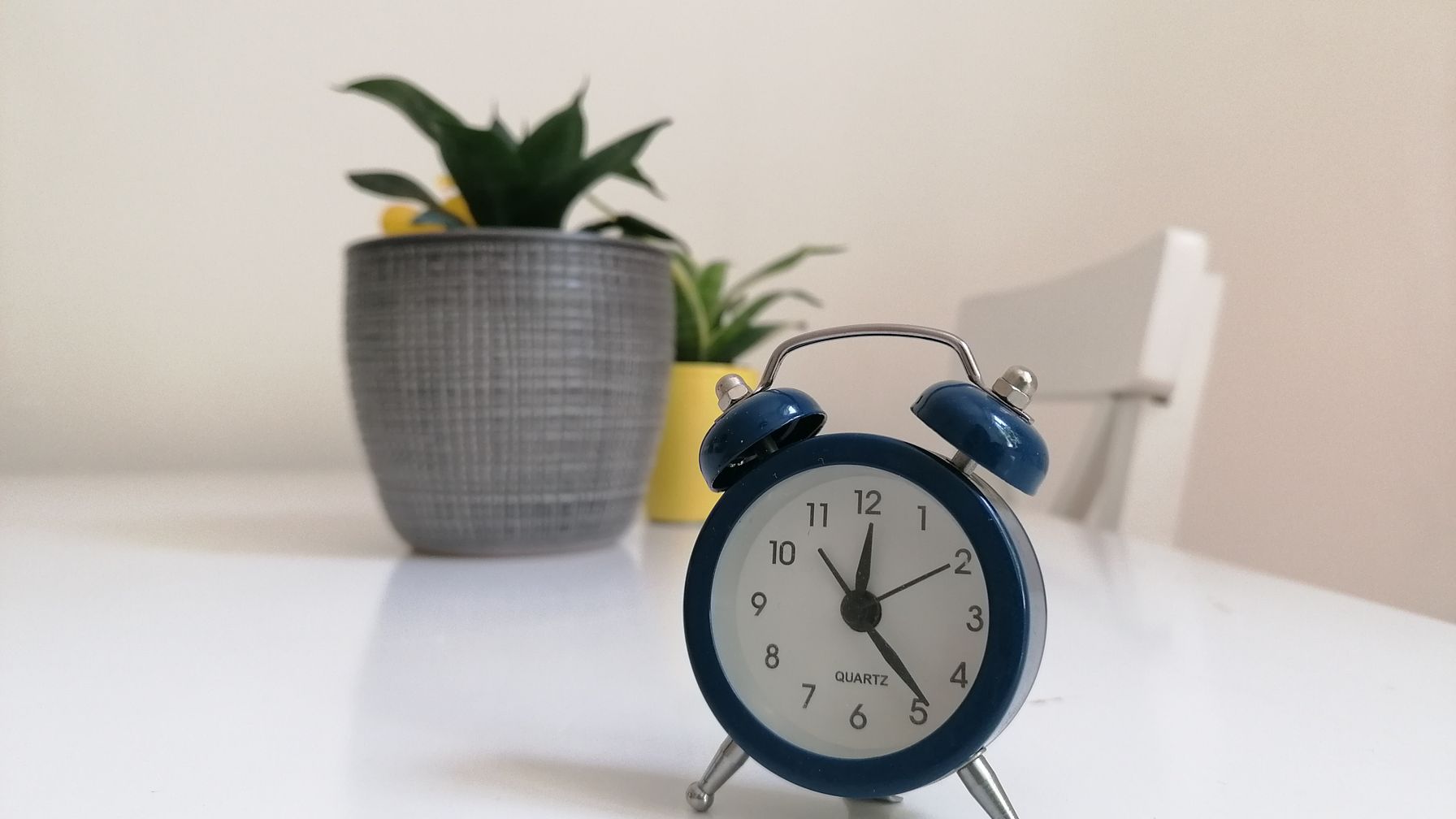 Despertador azul sobre a mesa ao lado de uma planta, ilustrando o prazo de 90 dias contados do óbito para requerer a pensão com pagamento desde a morte